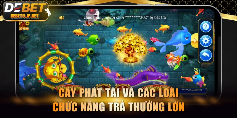 Cây Phát Tài và các loài chức năng trả thưởng lớn