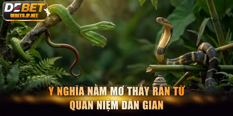 Ý nghĩa nằm mơ thấy rắn từ quan niệm dân gian